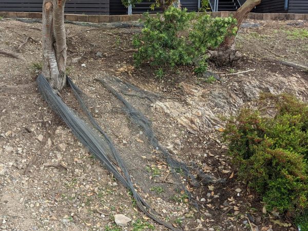 Why Soft Engineering is the Smarter Solution for Erosion Control